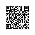 BKT-163-01-L-V-S-A-P QRCode