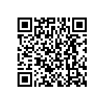 BKT-163-04-F-V-P-TR QRCode