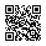 BKT-167-01-F-V QRCode