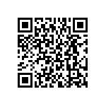 BKT-167-02-F-V-P QRCode