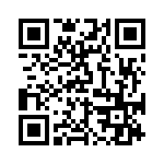 BKT-167-05-L-V QRCode