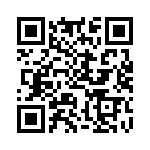 BM22-4P-V-78 QRCode