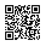 BN074E0333K QRCode