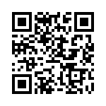 BR24T256-W QRCode