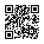 BRT13-H QRCode