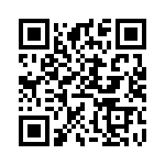 BV038-5413-0 QRCode