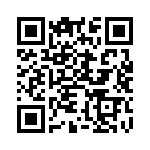BYD13JGP-E3-54 QRCode