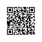 BZ016010BE94013BG1 QRCode