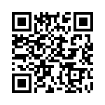 BZH01-Z0000-13 QRCode