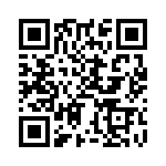 BZT52-C2V4J QRCode