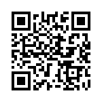 BZT55A8V2-GS08 QRCode