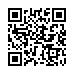 BZT55A9V1-GS08 QRCode