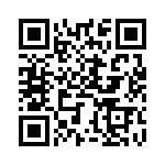 BZT55B3V3-L0G QRCode