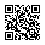 BZT55B4V3-GS08 QRCode