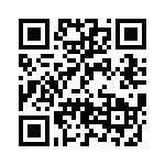 BZT55B4V3-L0G QRCode