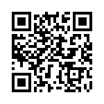 BZT55C24-L1G QRCode