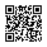 BZT55C30-GS08 QRCode