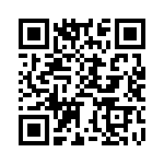 BZV09-A1020-04 QRCode