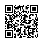 BZW04-31 QRCode