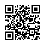 BZW06-28 QRCode