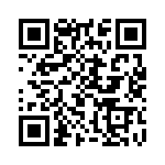 C905265600 QRCode