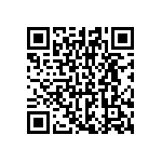 CNX_310_033_E_4_1_06 QRCode