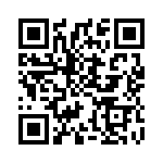 CNY17-4 QRCode