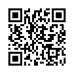 CT-13 QRCode