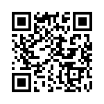 CT2913-8 QRCode