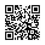 CT2941 QRCode