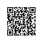 CW0101R300JE12HS QRCode