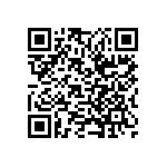 CW0101R300KE733 QRCode