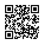 CW0107R500JE12 QRCode