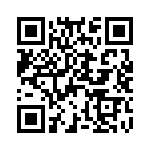 D09P33E4GV00LF QRCode