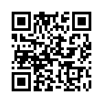 D13007VF13V QRCode