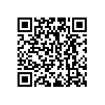 D38999-24FE99AD QRCode