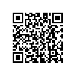 D55342E07B124DPWS QRCode