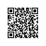 D55342E07B150BRTP QRCode