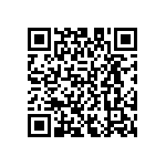 D55342E07B165BRTP QRCode