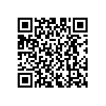 D55342E07B165ERWS QRCode