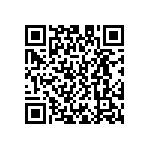 D55342E07B1B45RWS QRCode