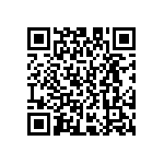 D55342E07B243DPWS QRCode