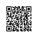 D55342E07B261BRWS QRCode