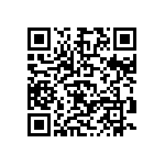 D55342E07B261ERWS QRCode