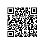 D55342E07B2B03RWS QRCode