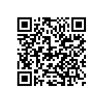 D55342E07B33B2RTP QRCode