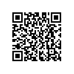 D55342E07B365ERWS QRCode