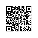 D55342E07B374BRT5 QRCode