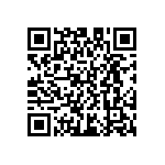 D55342E07B383BRT5 QRCode