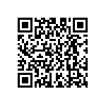 D55342E07B3B30RWS QRCode